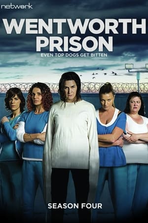Wentworth - saison 4 poster