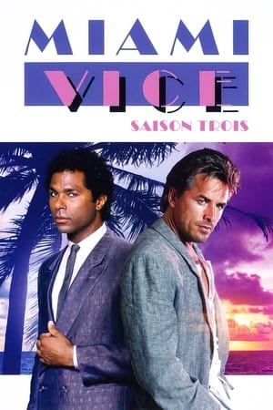 2 Flics à Miami Saison 3 poster