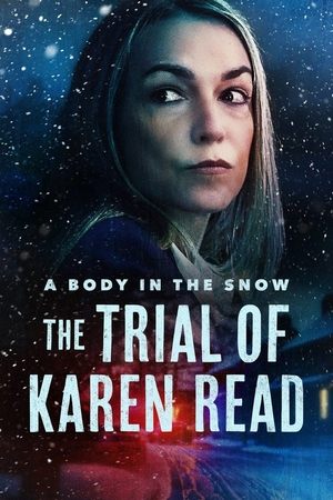 A Body in the Snow - The Trial of Karen Read Saison 1 poster