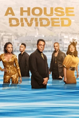 A House Divided Saison 1 poster