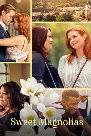 À l'ombre des magnolias Saison 2 poster