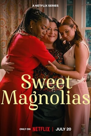 À l'ombre des magnolias Saison 3 poster