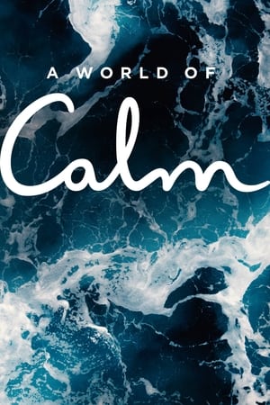 A World of Calm Saison 1 poster