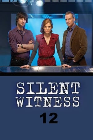 Affaires non classées saison 12