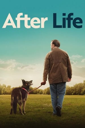 After Life Saison 3 poster