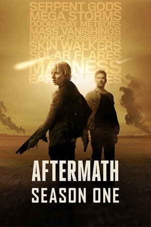 Aftermath Saison 1 poster