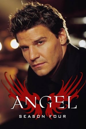 Angel - saison 4 poster