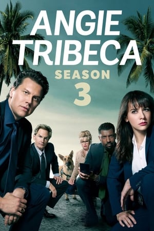 Angie Tribeca - saison 3 poster
