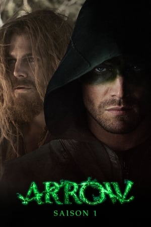 Arrow - saison 1 poster