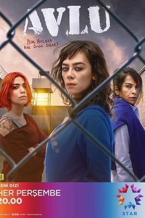 Avlu Saison 1 poster