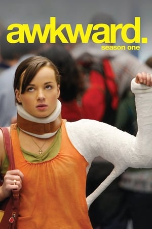 Awkward. - saison 1 poster