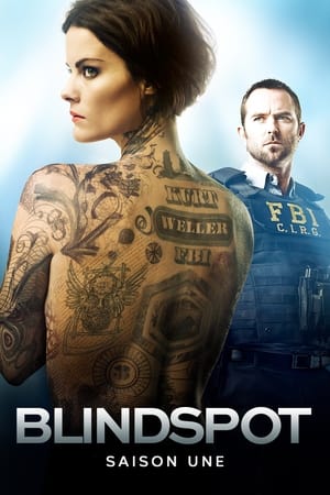 Blindspot Saison 1 poster