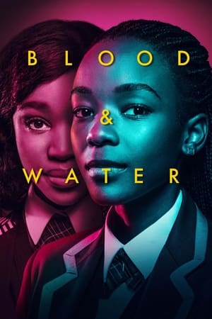 Blood & Water - saison 1 poster
