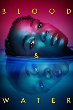Blood & Water Saison 2 poster