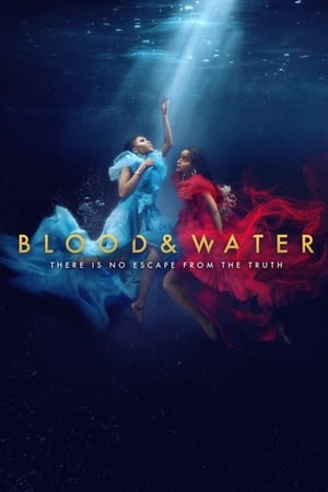 Blood & Water - saison 3 poster