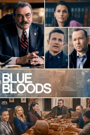 Blue Bloods - saison 13 poster