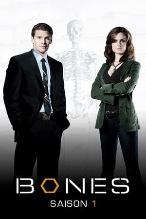 Bones Saison 1 poster
