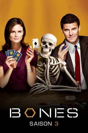 Bones Saison 3 poster