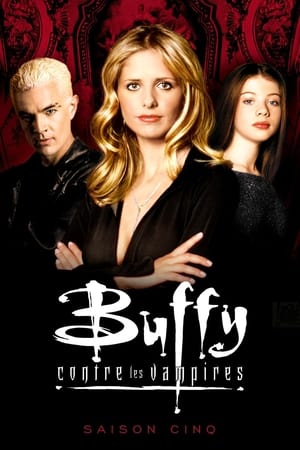 Buffy contre les vampires Saison 5 poster