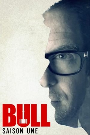 Bull Saison 1 poster