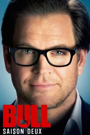 Bull Saison 2 poster