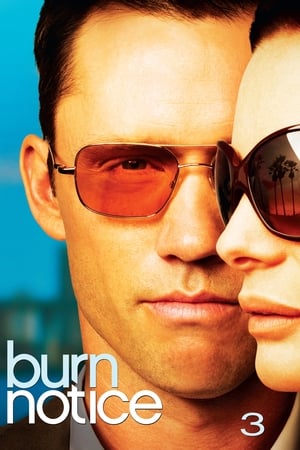 Burn Notice - saison 3 poster