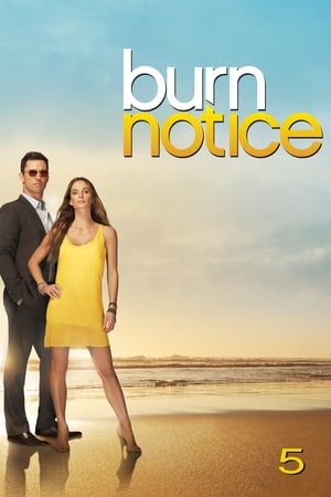 Burn Notice - saison 5 poster