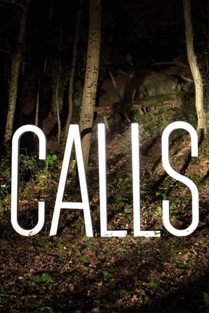 Calls Saison 1 poster