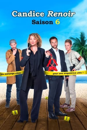 Candice Renoir Saison 6 poster