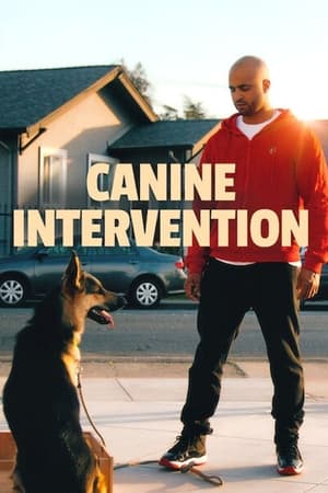 Canine Academy