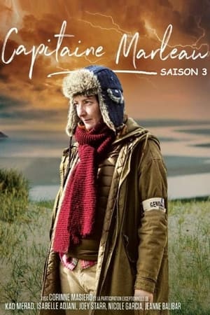 Capitaine Marleau - saison 3 poster