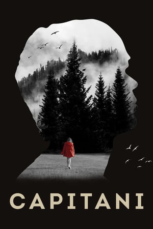 Capitani Saison 1 poster