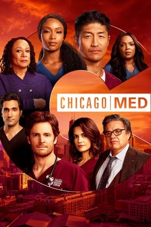 Chicago Med Saison 6 poster