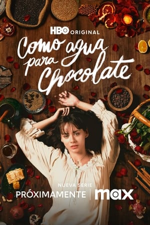 Chocolat amer - saison 1 poster