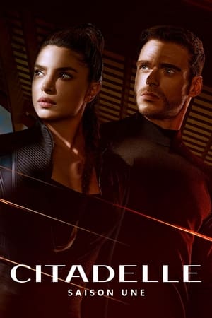 Citadel Saison 1 poster