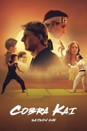Cobra Kai Saison 1 poster