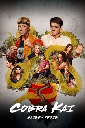 Cobra Kai - saison 3 poster