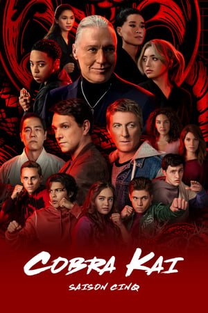 Cobra Kai Saison 5 poster