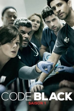 Code Black Saison 1 poster