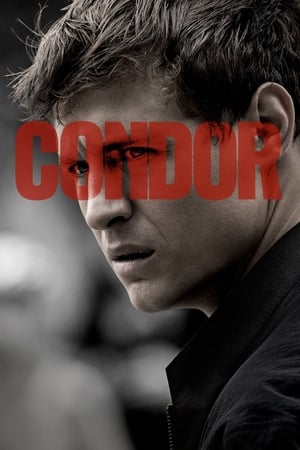 Condor Saison 1 poster