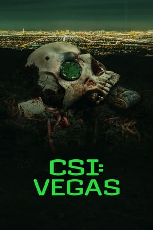 CSI: Vegas - saison 1 poster