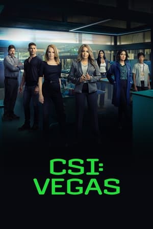 CSI: Vegas - saison 2 poster