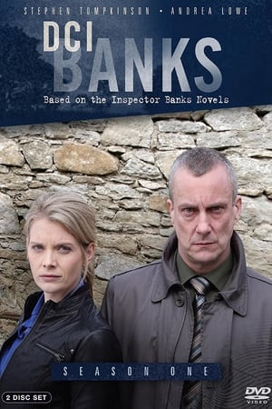 DCI Banks - saison 1 poster