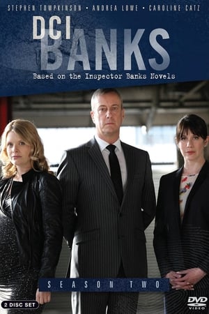 DCI Banks - saison 2 poster