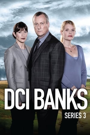DCI Banks - saison 3 poster