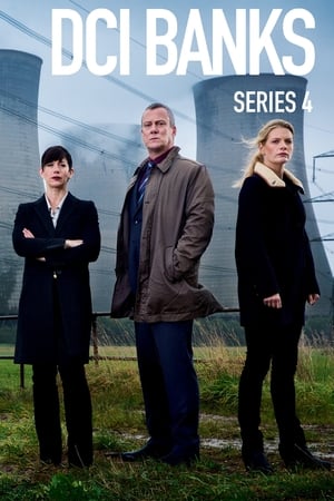 DCI Banks - saison 4 poster
