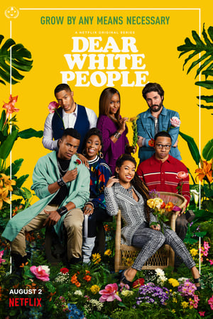 Dear White People Saison 3 poster