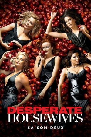 Desperate Housewives Saison 2 poster