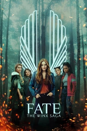 Destin : La saga Winx Saison 1 poster