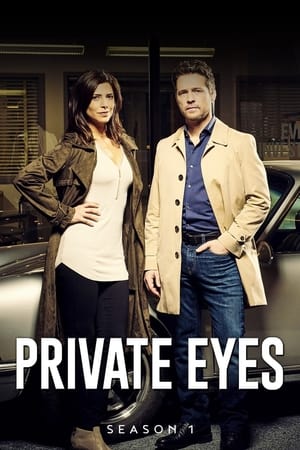 Détectives privés - saison 1 poster